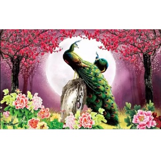 Tranh Dán Tường 3D VTC Đôi Chim Công LunaTM- KT: 110x90cm