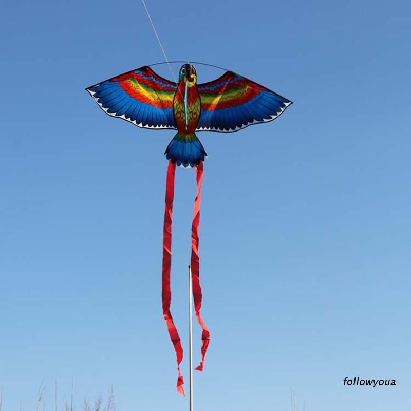 Diều hình chim vẹt thả ngoài trời cho trẻ em