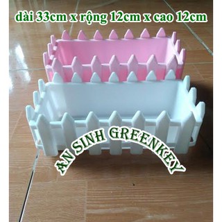 chậu hàng rào cỡ nhỏ