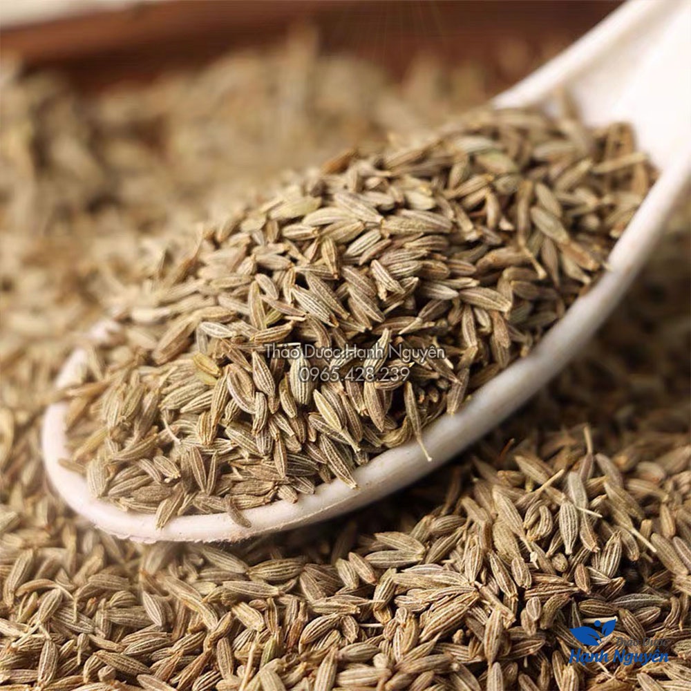 Hạt thì là Ấn Độ 1kg (Cumin seed, gia vị thơm ngon cho món ăn) - Thảo Dược Hạnh Nguyên