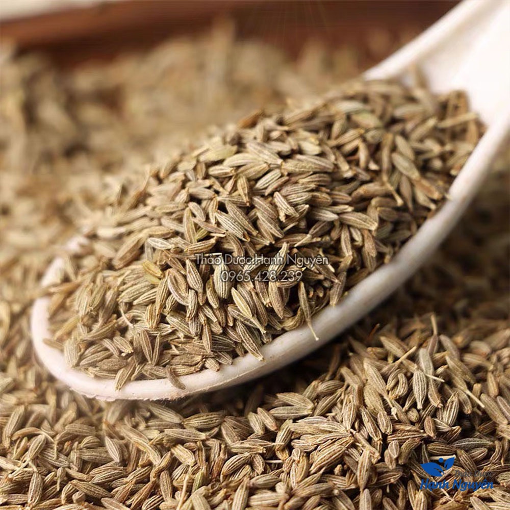 Hạt thì là Ấn Độ 100g (Cumin seed, gia vị thơm ngon cho món ăn) - Thảo Dược Hạnh Nguyên