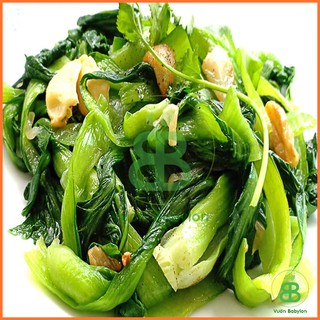 Hạt Giống Cải Hoa Hồng Rạng Đông, Dễ Trồng, Năng Suất Cao, Trồng quanh năm, tỉ lệ nảy mầm cao Vuonbabylon - Gói 5G
