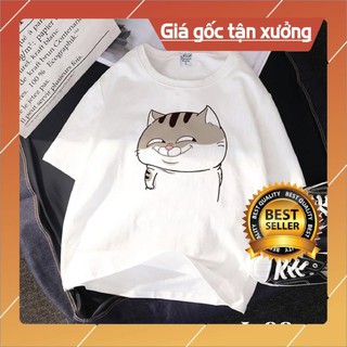 😍SALE HÈ😍 Áo Phông Đẹp Giá Rẻ Mèo Ami bụng bự siêu to khổng lồ