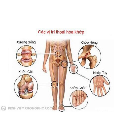 Viên uống sụn vi cá mập allcura Đức