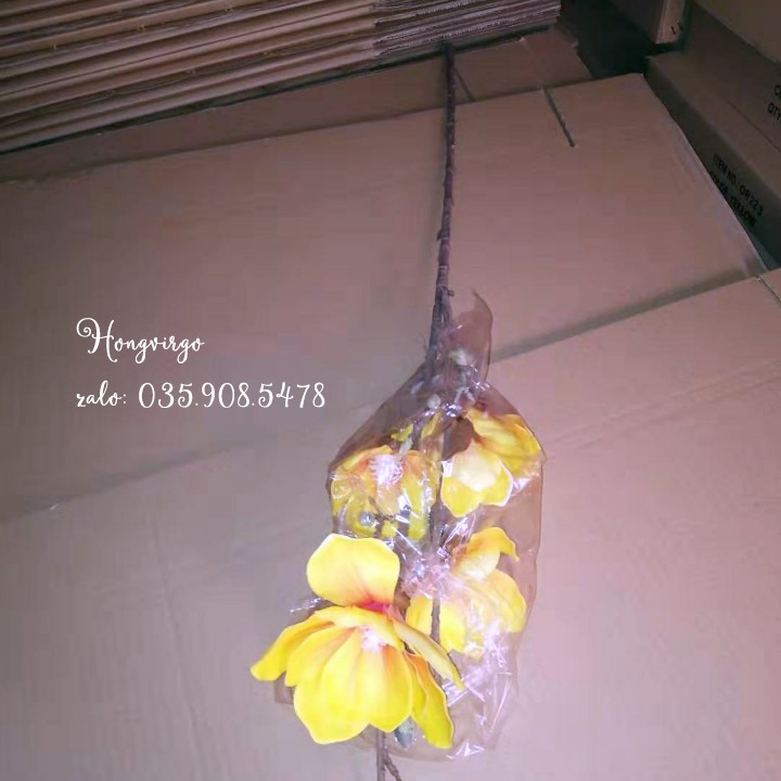 🌸 Cành hoa mộc lan cao su 5 bông dài 80cm - HÀNG CAO CẤP