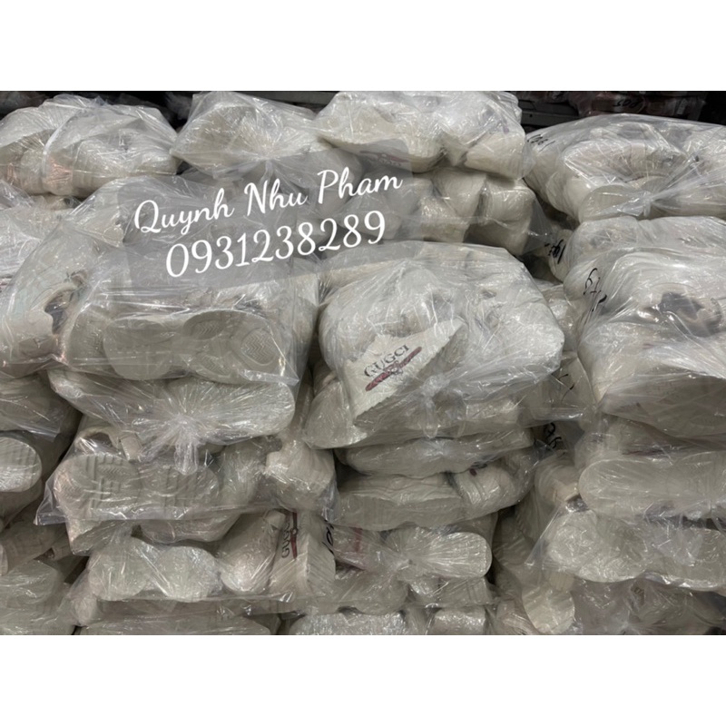 Giầy thể thao Cu chì