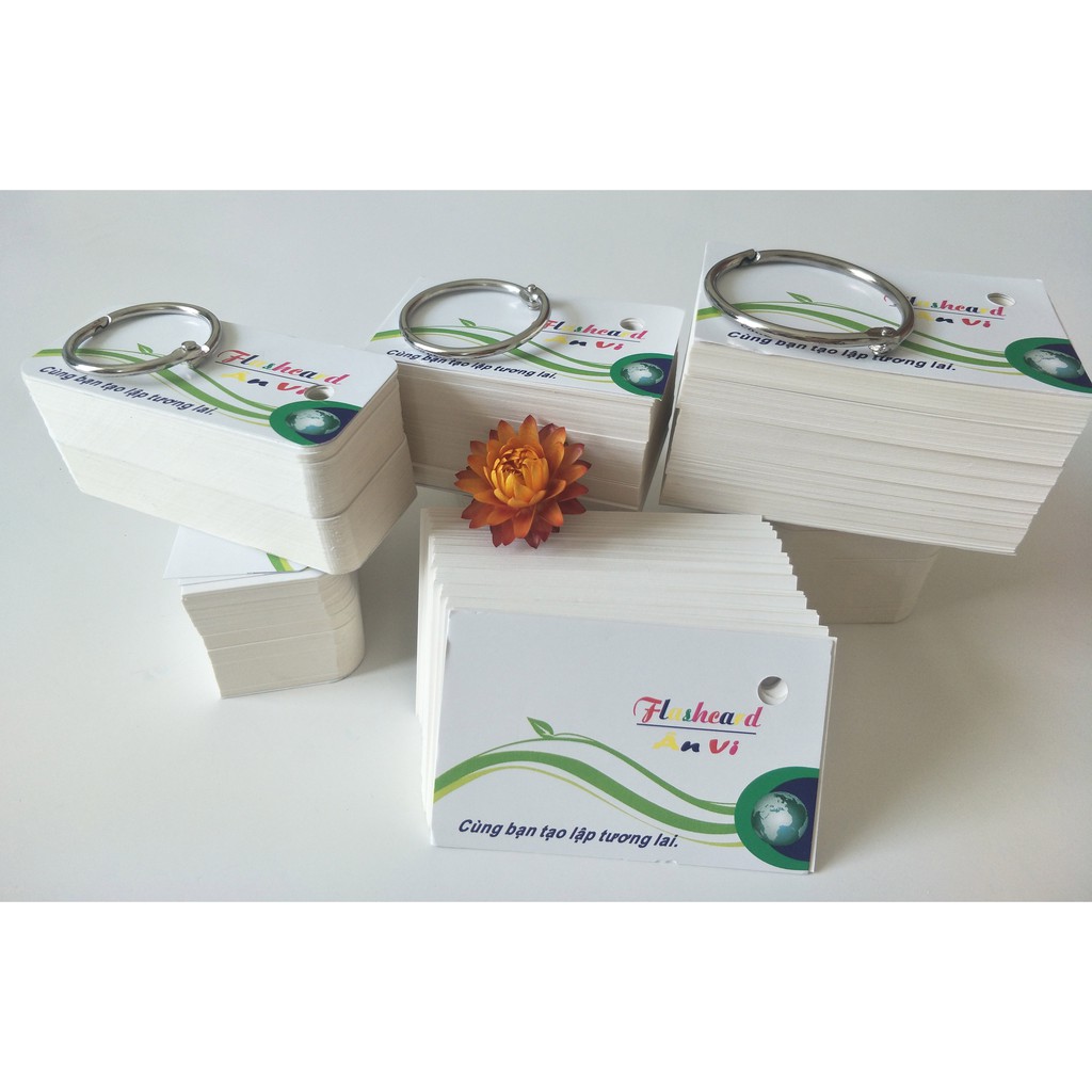 1000 thẻ flashcard kích thước 5x8cm vuông học tiếng anh, nhật, đức, pháp, hàn