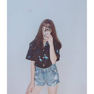 ÁO SƠ MI HẠC CỘC TAY