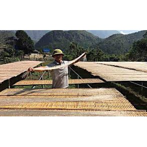 Miến Dong Núi Đá Đặc Sản Mường Khương Lào Cai Túi 1 Kg Chế Biến Thủ Công Từ 100% Củ Rong Riềng Đỏ Trồng Trên Núi Đá | BigBuy360 - bigbuy360.vn