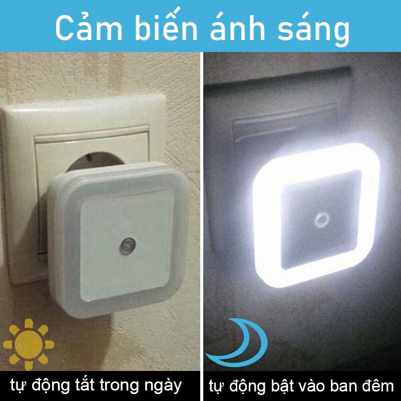 Đèn ngủ cảm ứng ánh sáng, bóng ngủ led mini cảm biến cắm điện tự động bật tắt dễ thương decor phòng ngủ