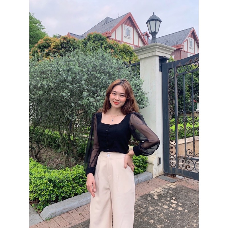 Áo coptop lưng chun