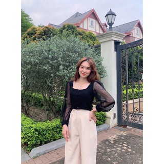 Áo coptop lưng chun