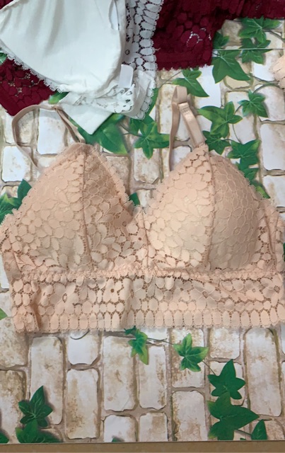 Bra móc Cài Sau có 3 nút gài y như hình | BigBuy360 - bigbuy360.vn