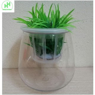 1 Chậu Nhựa Trồng Cây Thủy Sinh, Kích Thước 10x10x13Cm