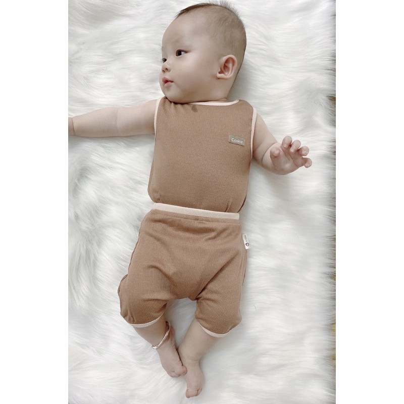 Cookie- Bộ ba lỗ sợi tre vân tăm