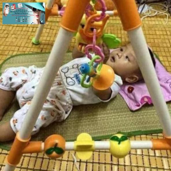 Kệ Chữ A Con Vẹt Có Nhạc