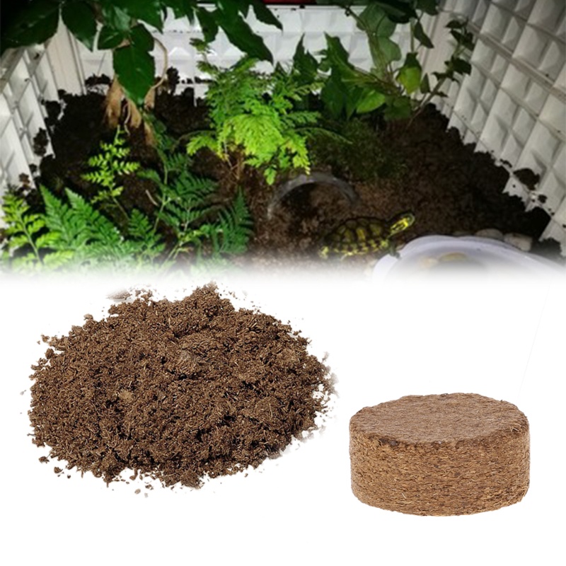 Đất Xơ Dừa Khối Lượng Nhẹ Cho Sân Vườn