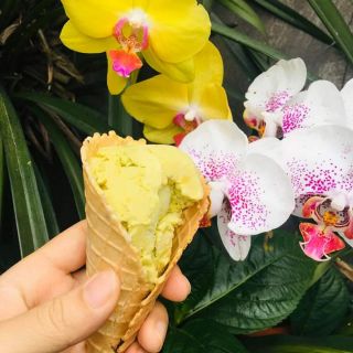 Máy làm bánh ốc quế