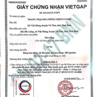 Nước hoa LACO set 4 mùi