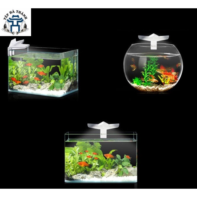 Đèn Led Kẹp M3 Cho Bể Cá Cảnh Mini, Bể Tròn, Bể Thủy Sinh