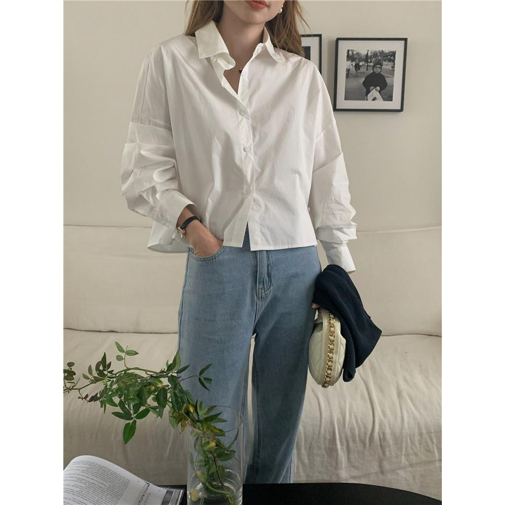 Áo Sơ Mi Cổ polo Dáng Ngắn Dài Tay Phối Khăn Choàng Phong Cách Hàn Quốc Đơn Giản 62137