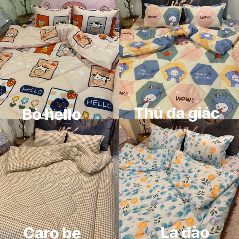 Set Ga gối Cotton poly ngộ nghĩnh, đáng yêu, màu mới nhất | BigBuy360 - bigbuy360.vn