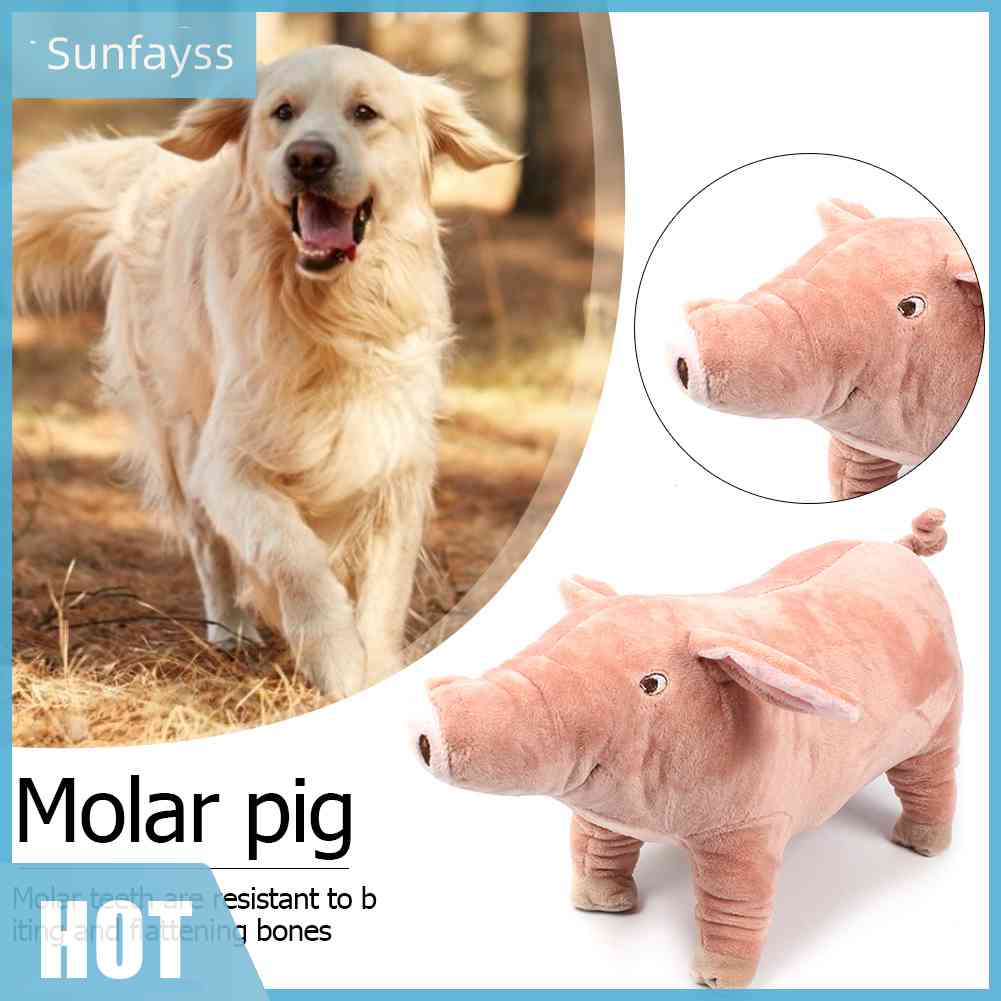 Thú Nhồi Bông Hình Heo Con Chống Cắn Dễ Thương Cho Thú Cưng