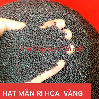 Hạt mần ri kích lửa cho cu gáy, bóng long...