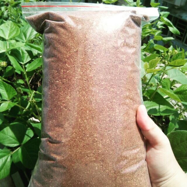 1KG MỤN XƠ DỪA, CÁM DỪA ĐÃ SÀNG MỊN