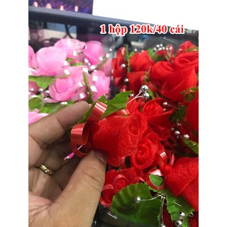 hoa cài áo hai họ