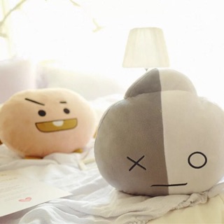Gối BT21 dc