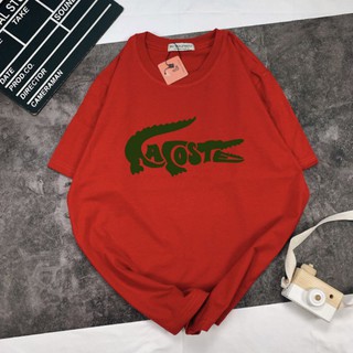 🐞 Áo Thun 70/11 hình cá sấu 🐞