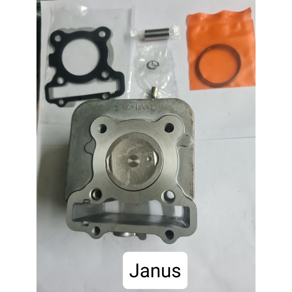 Bộ lòng  xe Janus