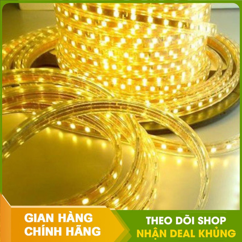 Combo 10 met đèn led dây đôi lõi đồng 2 hàng bóng 2835 - IP65