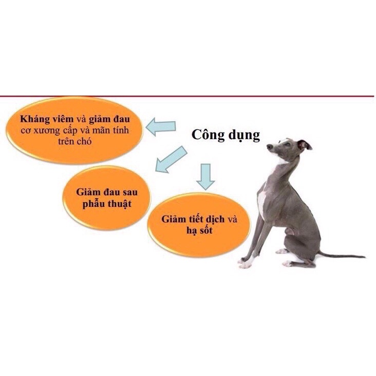 [Mã PET50K giảm Giảm 10% - Tối đa 50K đơn từ 250K] Virbac Inflacam 2.5mg - Giảm đau kháng viêm cho chó 1vien