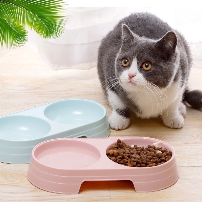 BÁT NHỰA ĐÔI CHO CHÓ MÈO  ( chọn màu ngẫu nhiên )