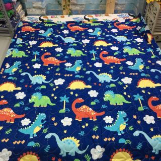 Bộ drap Cotton nguyên bộ 5 món