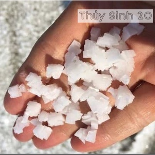 Muối hạt - muối hột - dưỡng cá - vệ sinh hồ cá