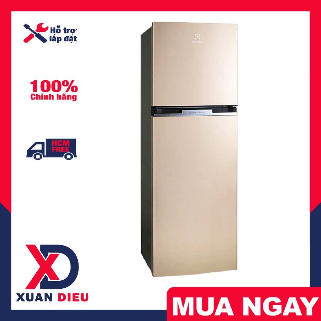 TỦ LẠNH ELECTROLUX 320 LÍT ETB3200GG - Xuất xứ Thái Lan, bảo hành 24 tháng, Giao miễn phí HCM