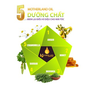 Dầu argan motherand - sm998