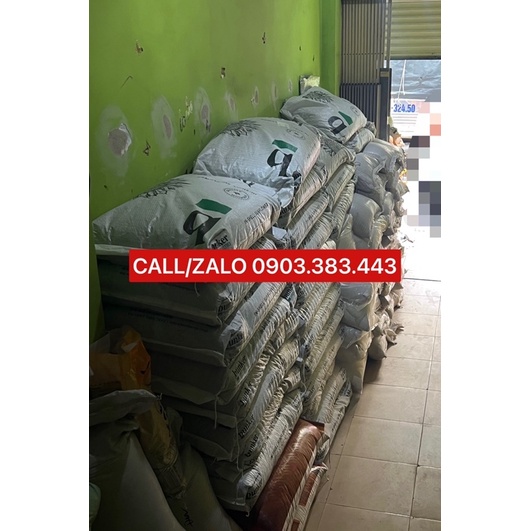 1KG Hạt Hướng Dương Size Trung Dành Cho Vẹt Trung Và Lớn