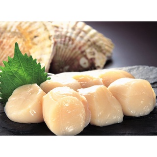 Còi sò điệp Nhật size lớn 1 kg
