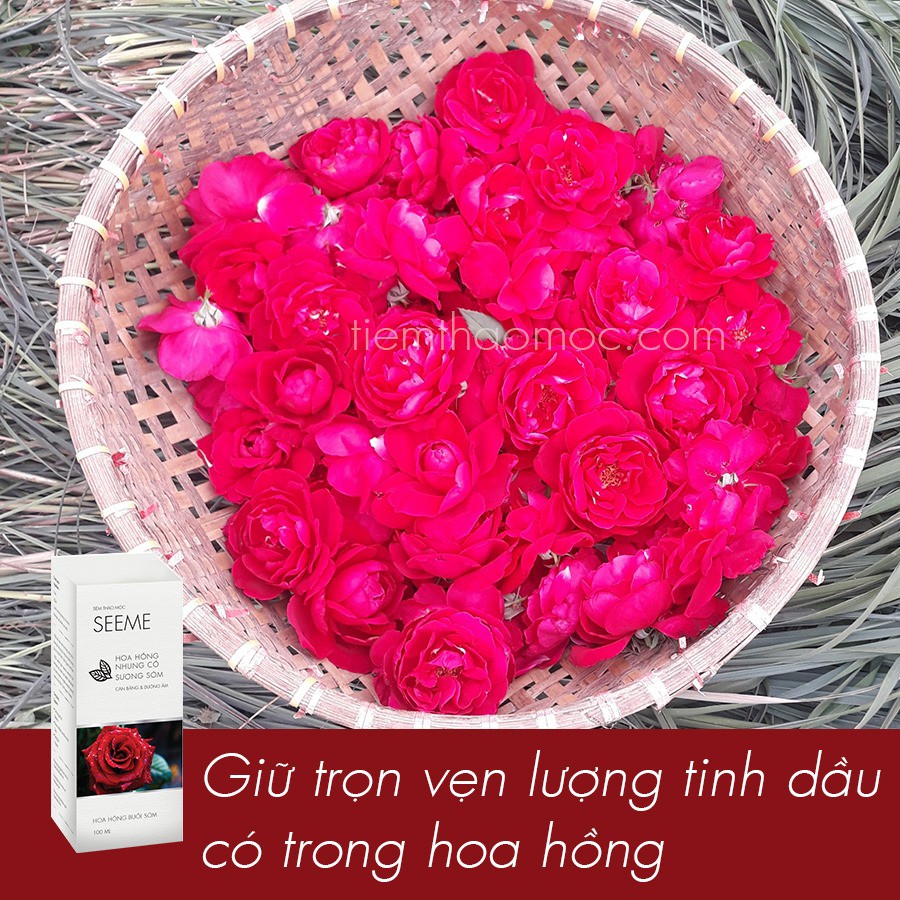 Nước Cất Hoa Hồng Toner Xịt Khoáng Tự Nhiên Nguyên Chất Làm Đẹp Da Dưỡng Da Dưỡng Ẩm An Toàn Không Chất Bảo Quản | BigBuy360 - bigbuy360.vn