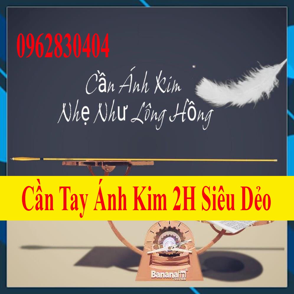 [Chất Lượng] Cần Câu Tay Siêu Dẻo Ánh Kim 2H