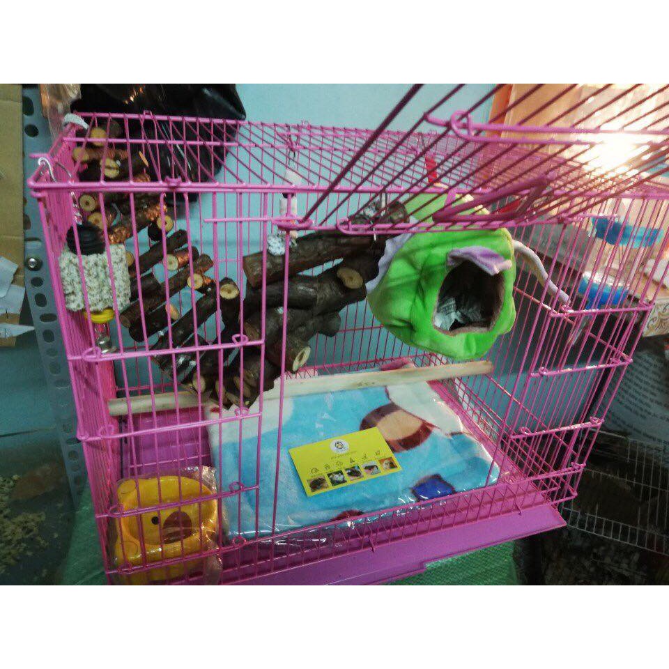 Dây leo gỗ thông cho Sóc,hamster dài 40cm -50cm