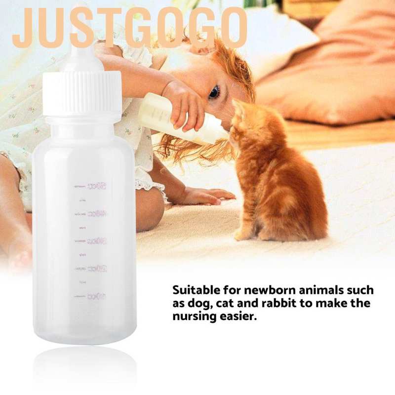 Bình Sữa Cho Thú Cưng