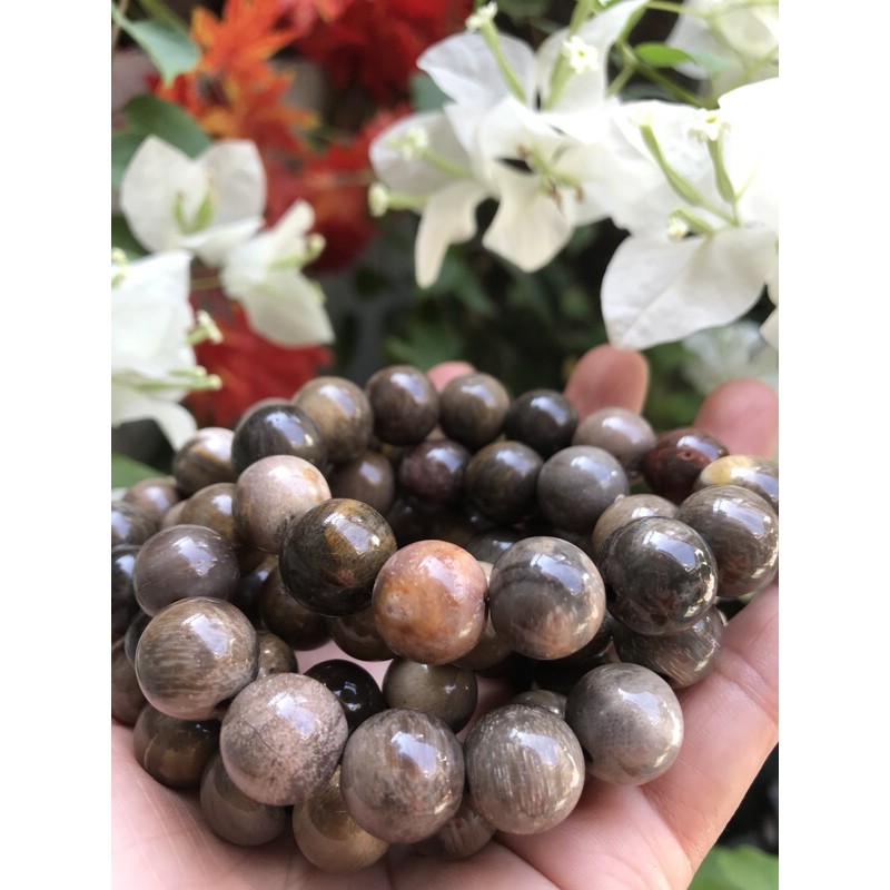 🌼💎🌼Vòng Gỗ Hóa Thạch Màu Vân Tự Nhiên Bóng Đẹp Nam Đeo 14mm Màu Nâu Sáng Bóng Vàng Nhẹ chỉ có 345k/1 vòng ạ