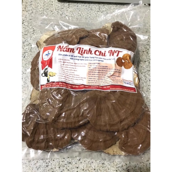 NẤM LINH CHI NT BIOTECH