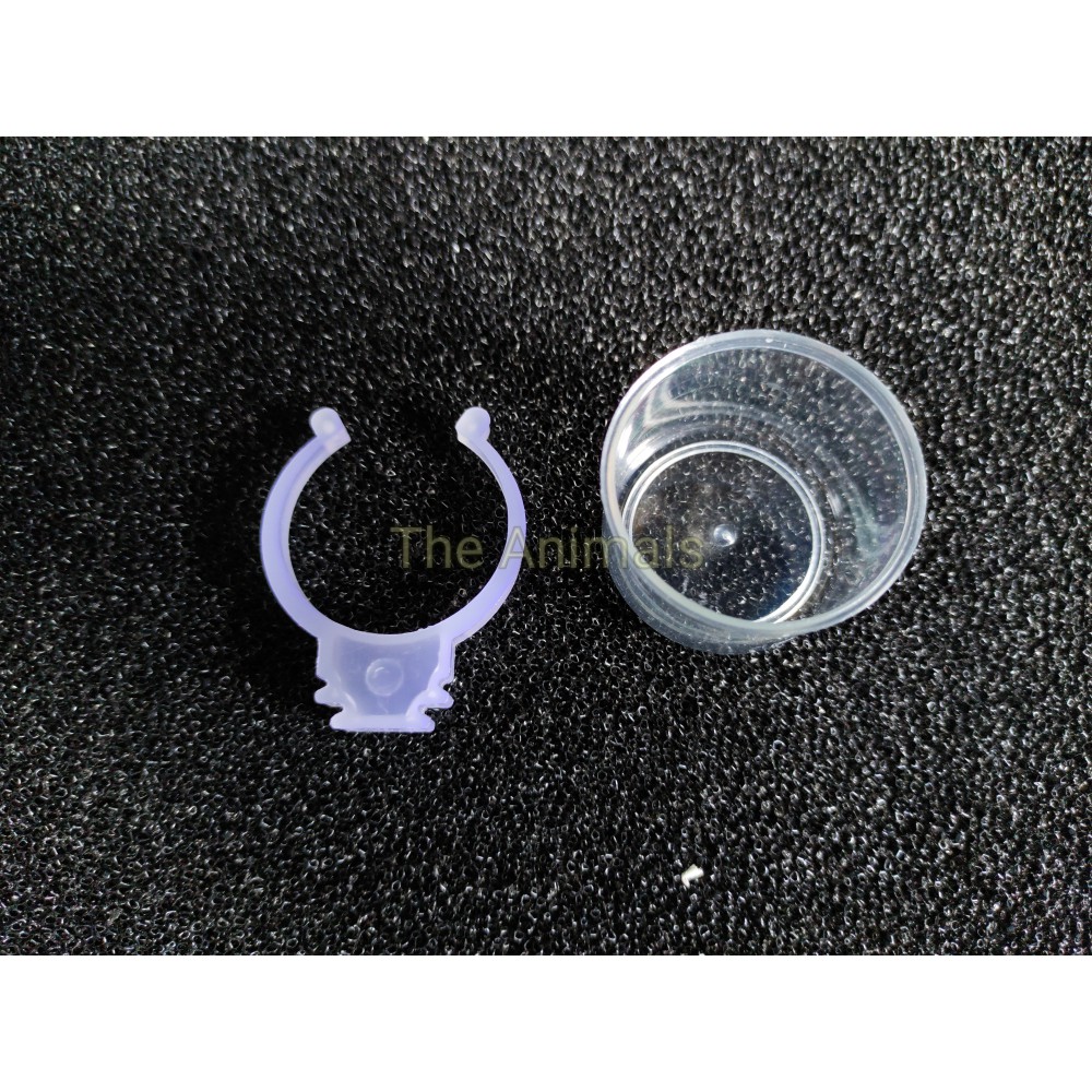 [1 cặp] Cóng đựng nước uống cho chim chào mào, chim khướu, chim khuyên