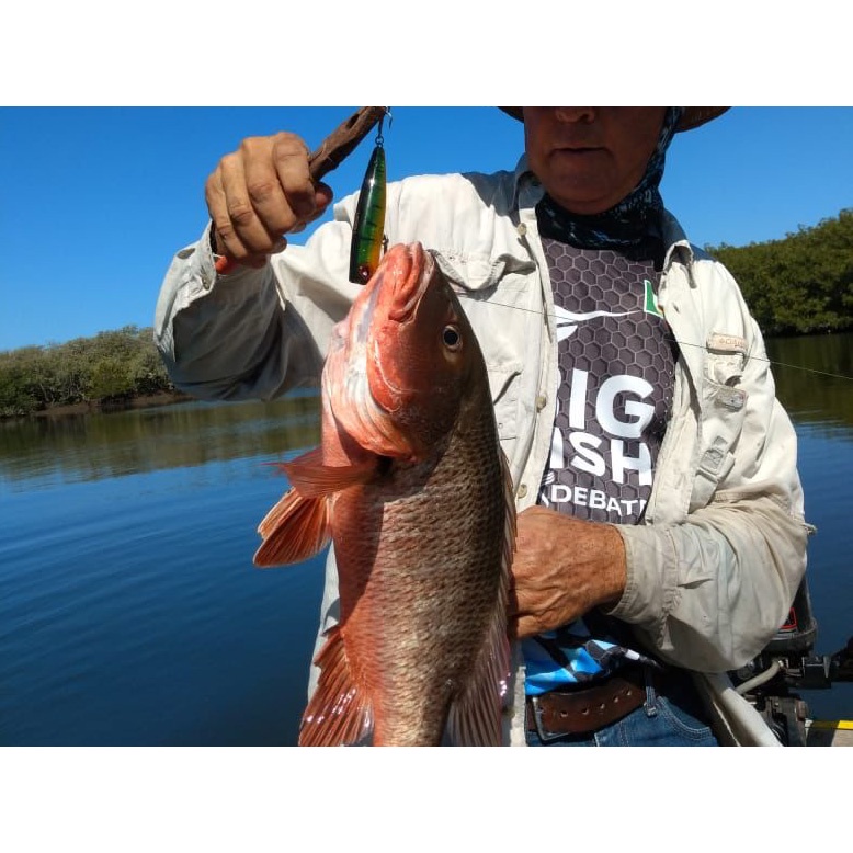 Mồi câu cá giả cứng 105mm 24g NBL9140